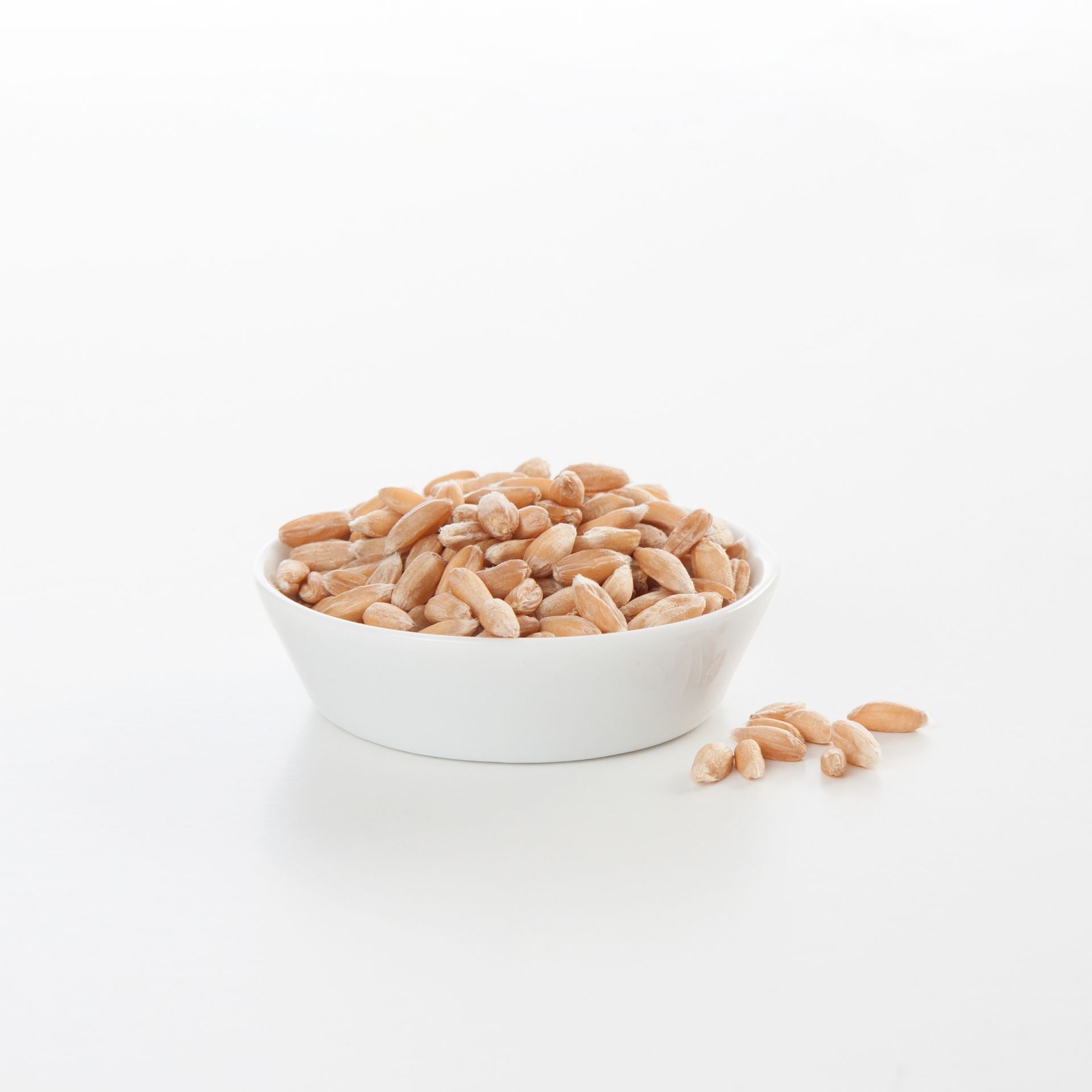 Bio Dinkel in Demeter Qualität | 500g